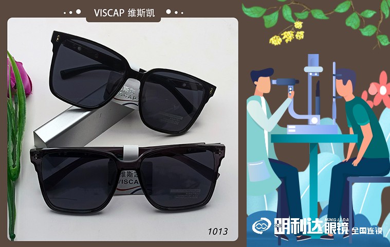 维斯凯2022新款潮流经典太阳镜1013