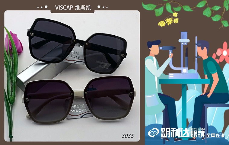 维斯凯2022新款潮流经典太阳镜3005